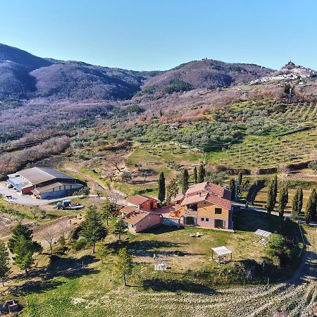 Az.Agr. Il Cavalleggero Campiglia d'Orcia Экстерьер фото