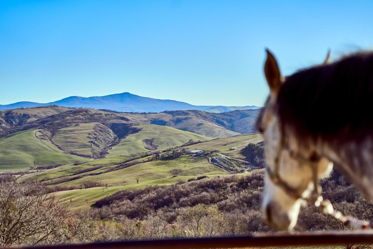 Az.Agr. Il Cavalleggero Campiglia d'Orcia Экстерьер фото