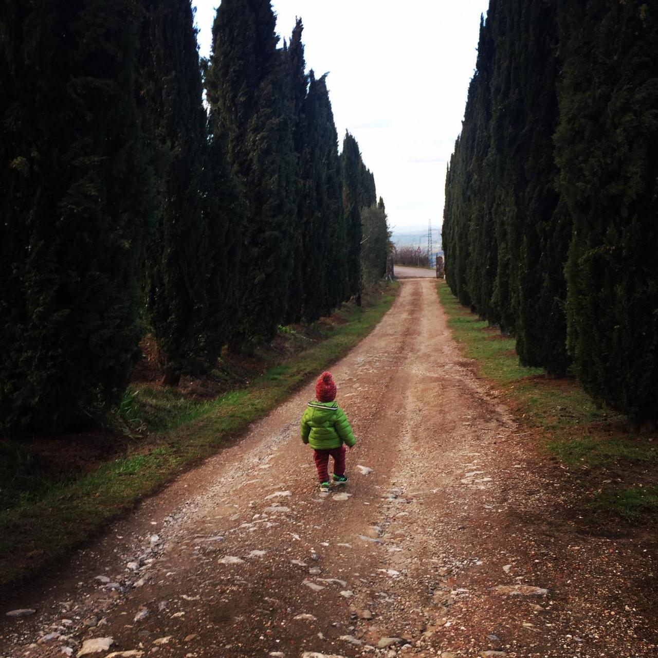Az.Agr. Il Cavalleggero Campiglia d'Orcia Экстерьер фото