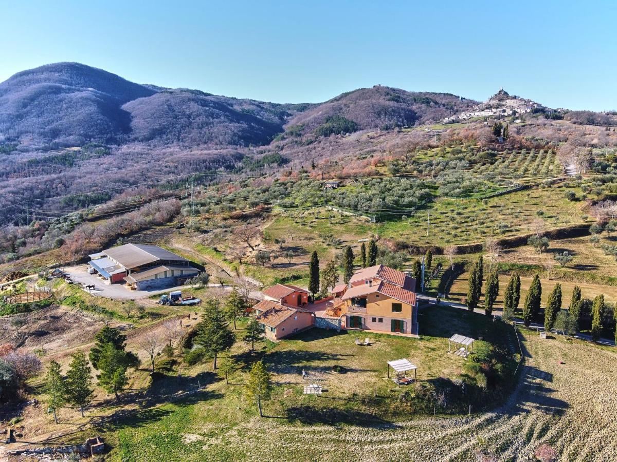 Az.Agr. Il Cavalleggero Campiglia d'Orcia Экстерьер фото