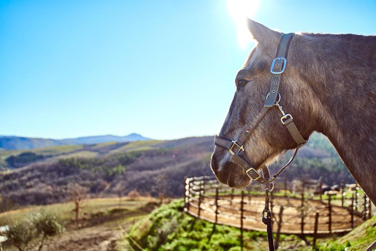 Az.Agr. Il Cavalleggero Campiglia d'Orcia Экстерьер фото
